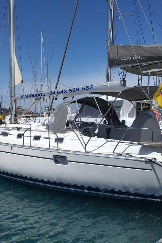 3h Whale Watching Private Tour Beneteau Oceanis 440 - Wildlife Experience