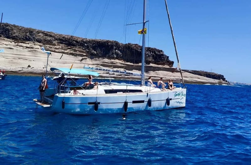 3h Whale Watching Private Tour Costa Adeje Lina7 Mizendoha - An In-Depth Look at the Experience