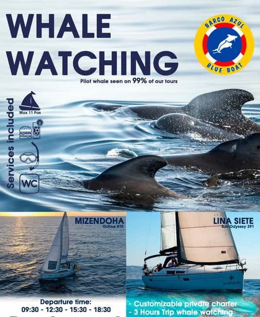 3h Whale Watching Private Tour Costa Adeje Lina7 Mizendoha - FAQ