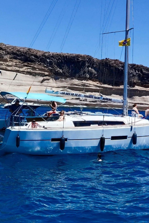 3h Whale Watching Private Tour Costa Adeje Lina7 Mizendoha - Good To Know