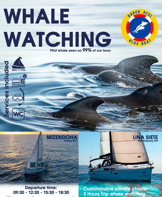 3h Whale Watching Private Tour Costa Adeje Lina7 Mizendoha - Frequently Asked Questions