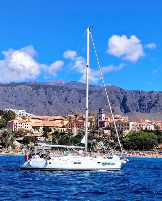 3h Whale Watching Share Tour Beneteau Oceanis 440 - Key Points