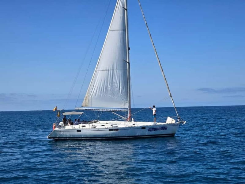 3h Whale Watching Share Tour Beneteau Oceanis 440 - An In-Depth Look at the Tour
