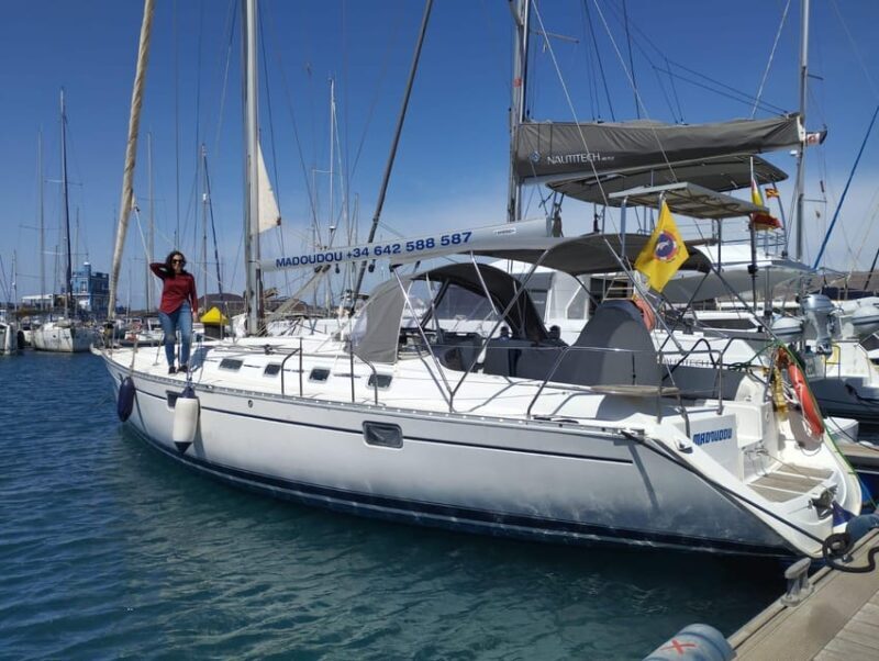 3h Whale Watching Share Tour Beneteau Oceanis 440 - Authentic Experiences from Past Travelers
