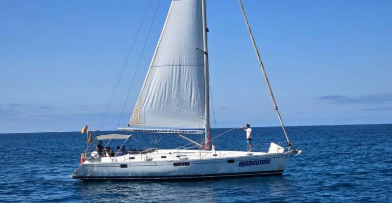 3h Whale Watching Share Tour Beneteau Oceanis 440 - Vessel Features