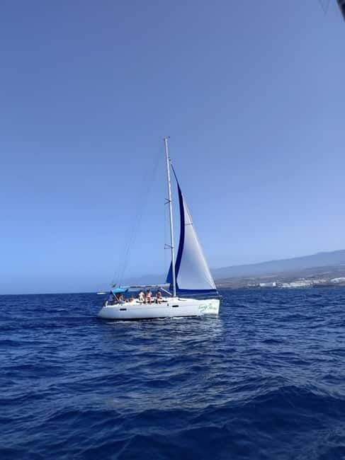 3h Whale watching Share Tour Costa Adeje Lina7 Mizendoha - Food, Drinks, and Comfort
