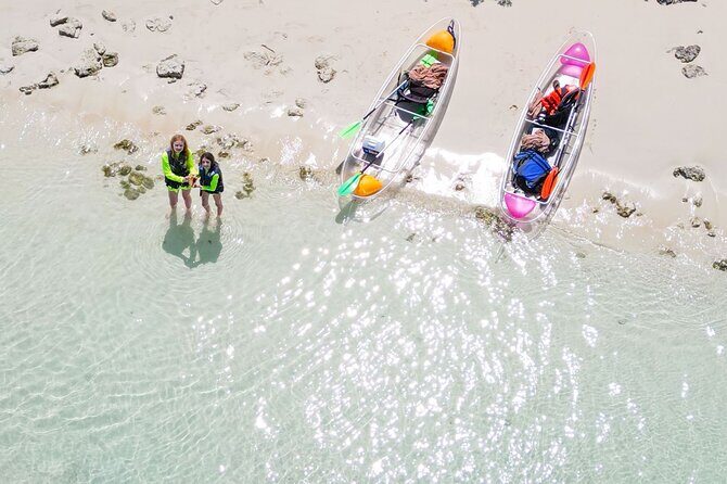 3HR Clear Kayak Mangrove and iguana island Tour in Leeward - An In-Depth Look at the Tour Itself