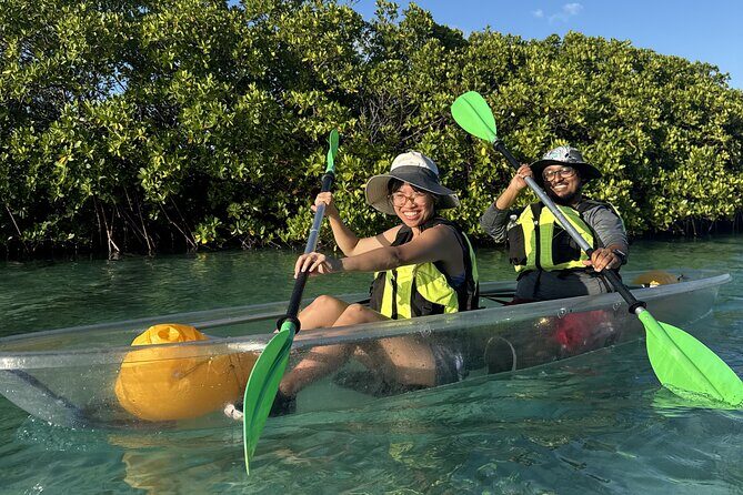 3hr Clear Kayak Tour of Mangroves, Marine Life and Iguanas - FAQ