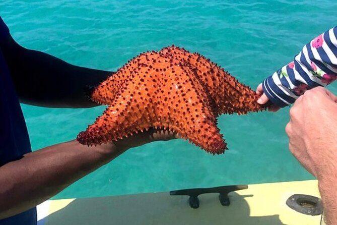 3hr Seaside Scavenger hunt - Additional Recommendations