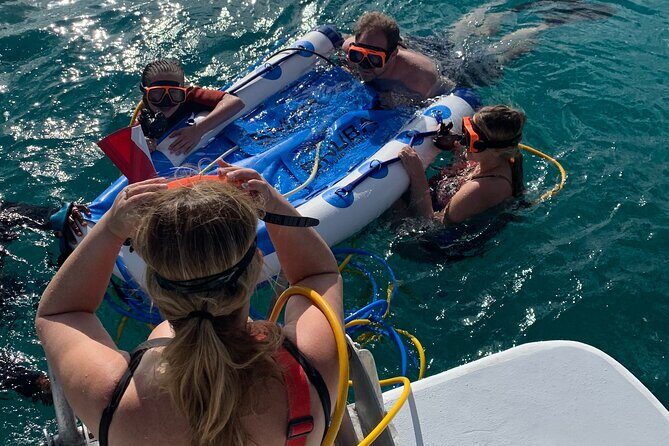 3HR Snuba, shipwreck and Iguana island tour - Key Points