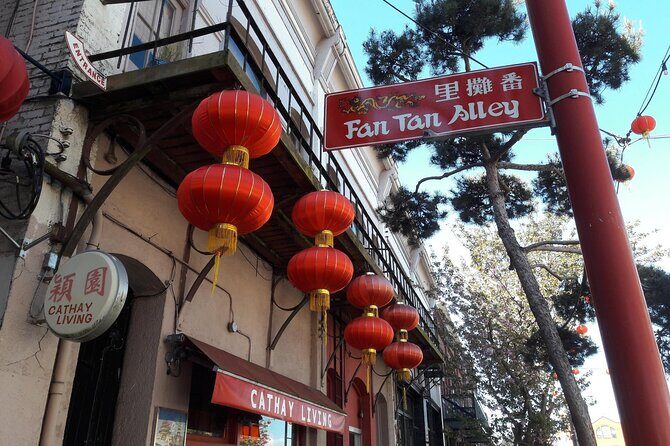 3hr Victoria City Highlights Private Tour (Day/Night, 14 Pax) - The Sum Up