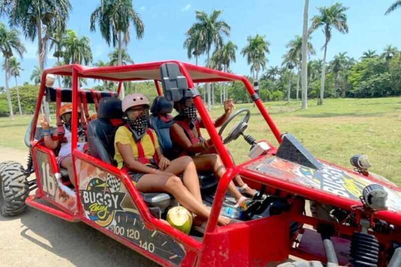 3x1: Monkeyland Damajagua Falls & Buggy Tour Puerto plata - FAQ