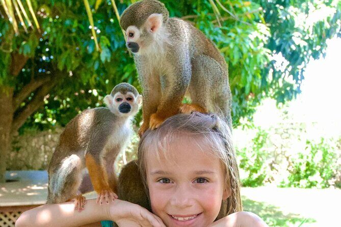 3x1: Monkeyland Waterfalls and Buggy Tour Puerto Plata - Authentic Traveler Insights