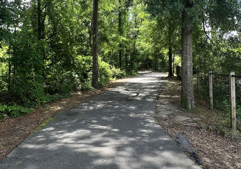 4.5-Hour Wilmington River to Sea E-Bike Adventure Tour - Recap