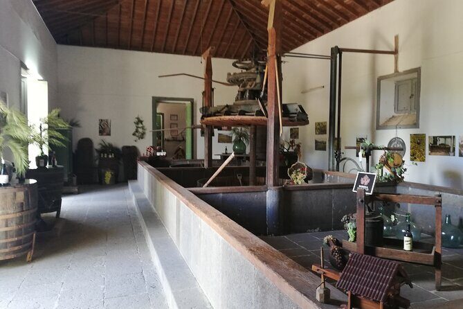 4.5 hours Private tour, the best and highlights of Gran Canaria. - FAQs