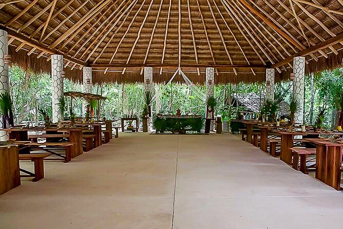4 Best Cenotes Semi-Private Tour - Traveler Experience Highlights