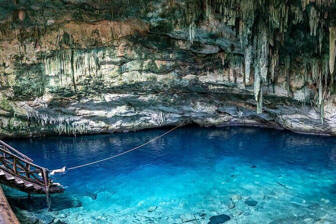 4 Cenotes Full Day Tour from Merida - Key Points