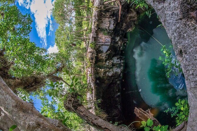 4 Cenotes Full Day Tour from Merida - An In-Depth Look at the Tour Experience
