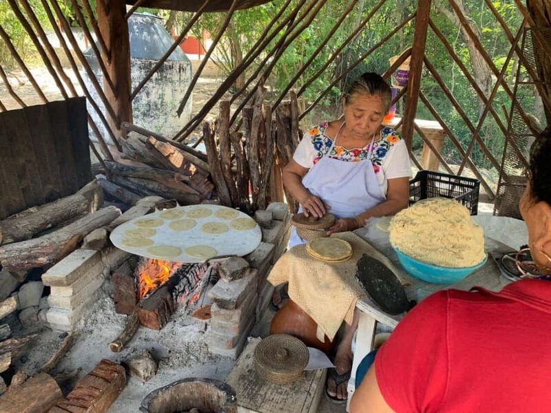 4 Cenotes with Bike, Lunch, Guide, and Pickup from Mérida - A Complete Breakdown of the Tour Experience