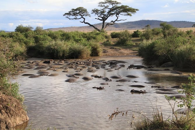 4 Day 3 Nights Tanzania Serengeti and Ngorongoro Safari - Frequently Asked Questions