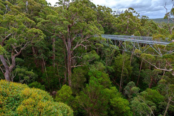 4 Day Albany Margaret River, Valley of the Giants Tour from Perth - Who Should Consider This Tour?