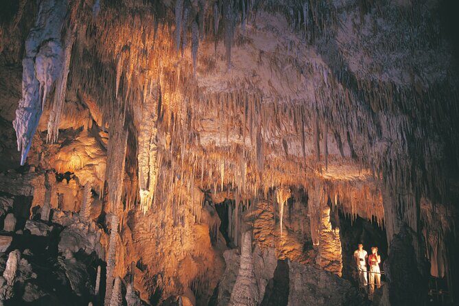 4 Day Albany Margaret River, Valley of the Giants Tour from Perth - The Sum Up