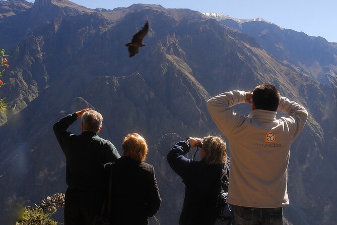 4 Day Arequipa and Colca Canyon Tour - Exploring Arequipa and Colca Canyon