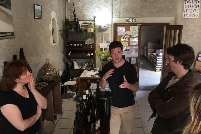 4 Day BORDEAUX WINE and HISTORY Tour - Cultural Immersion