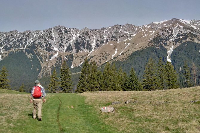 4-Day Carpathian Trek: Bucegi Mountains and Piatra Craiului National Park - Tour Overview