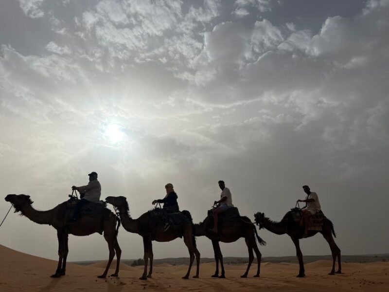 4 Day Fantastic Desert Tour From Fes to Marrakech via Desert - Daily Itinerary