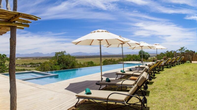 4-Day Garden Route Experience - Highlights of the Route