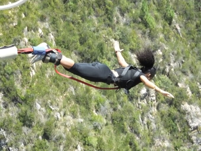 4-Day Garden Route Experience - Day 4: Whale Watching in Hermanus
