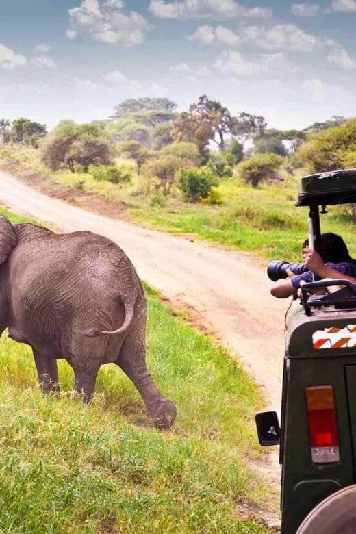 4 Day Garden Route Safari From Cape Town - Itinerary Day 4