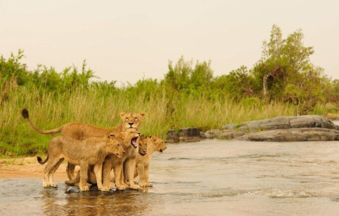 4 Day Garden Route Tour From Cape Town + Addo National Park - Frequently Asked Questions