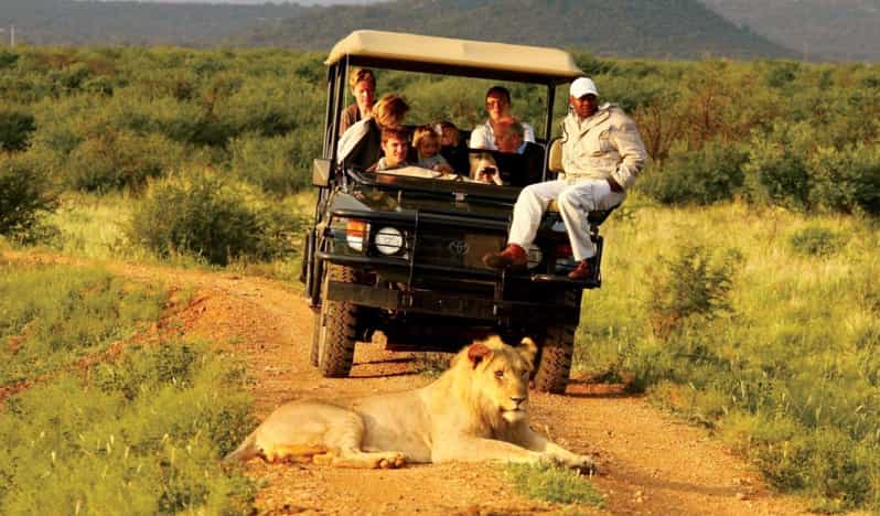 4 Day Garden Route Tour From Cape Town - Good To Know