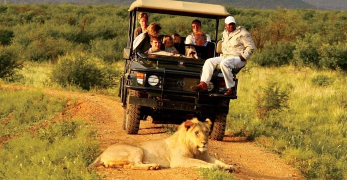 4 Day Garden Route Tour From Cape Town - Knysna Outdoor Adventures