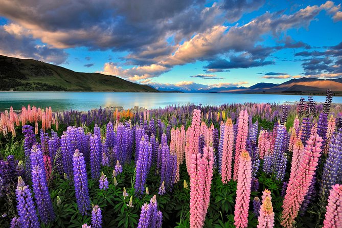 4-Day Great Southern Island Circle Tour From Christchurch - Highlights of Each Day