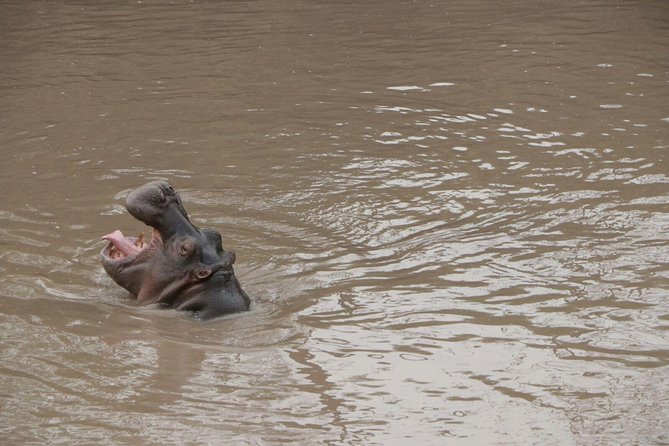 4-Day Group Tour to Tarangire, Serengeti, Ngorongoro - Lodge - Transportation Details