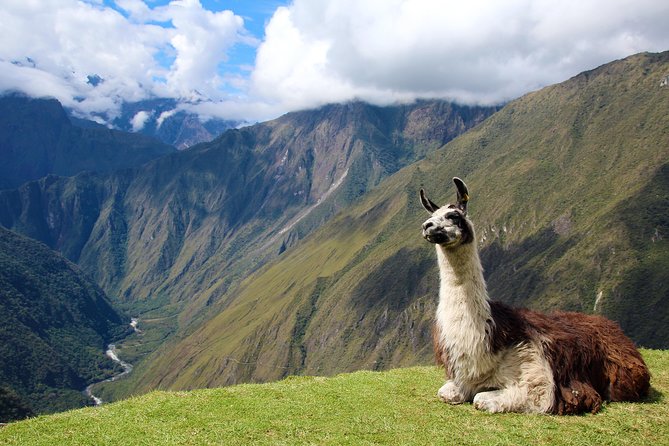 4 Day - Inca Trail to Machu Picchu - Group Service - Reviews and Testimonials