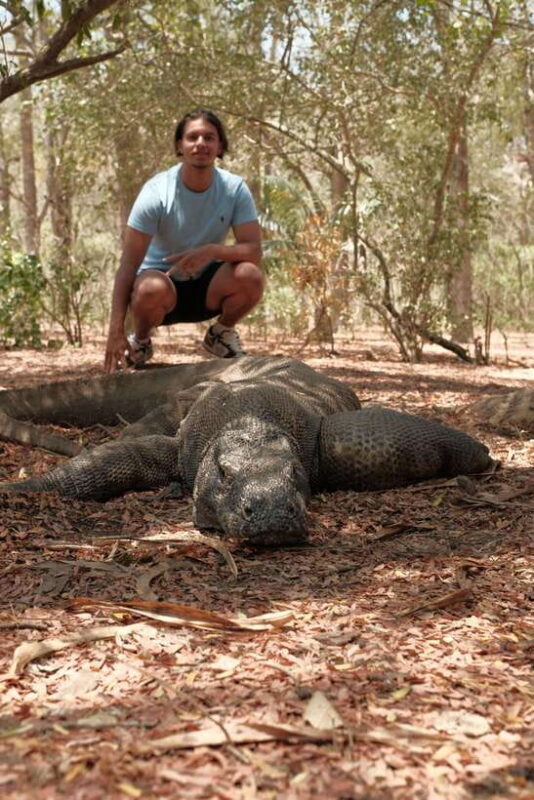 4-Day Komodo Island Adventure: Dragons, Snorkeling & Hiking - What the Tour Includes & What to Consider