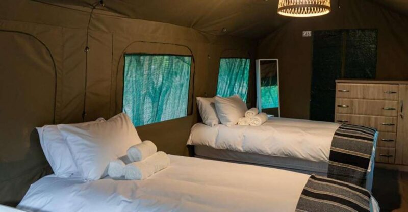 4 Day Kruger Glamping Budget Adventure - Transportation and Logistics