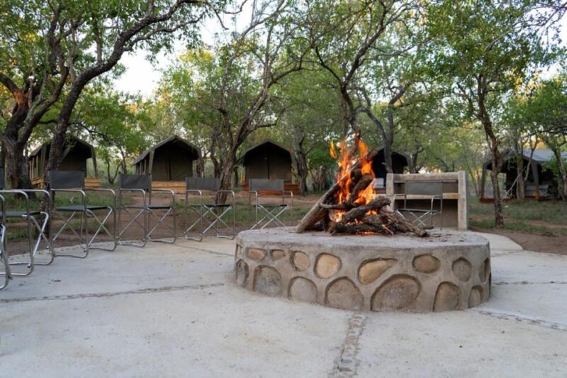 4 Day Kruger Glamping Budget Adventure - Daily Itinerary Highlights