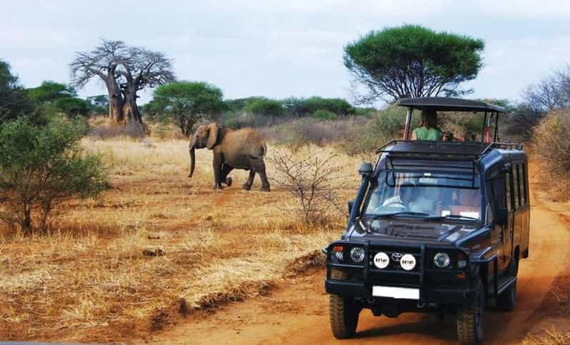 4 Day Kruger N Park & Blyde River Canyon Tour X Johannesburg - Itinerary Highlights
