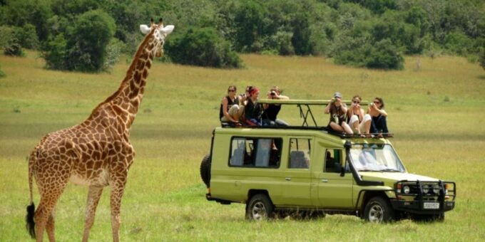 4 Day Kruger N Park & Blyde River Canyon Tour X Johannesburg - Additional Information