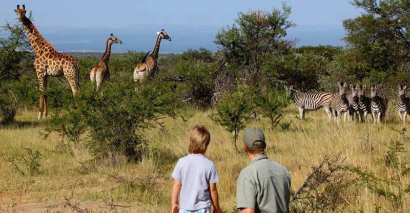 4 Day Kruger National Park Private Safari From Johannesburg - Safari Experience and Activities
