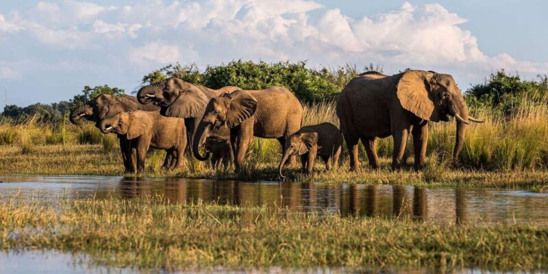 4 Day Kruger National Park Private Safari From Johannesburg - Daily Itinerary