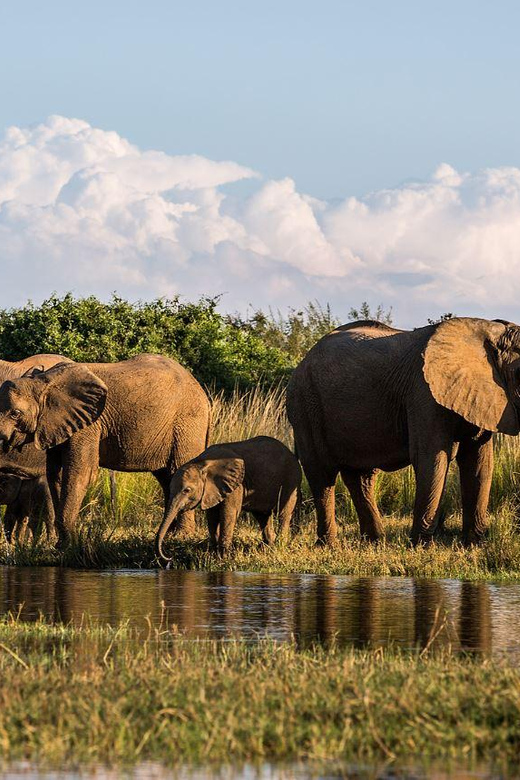 4 Day Kruger National Park Private Safari From Johannesburg - Wildlife and Ecosystem