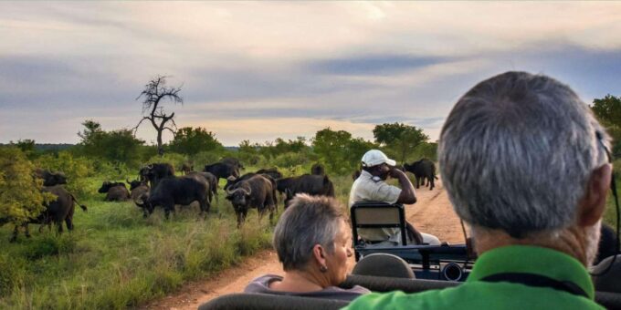 4 Day Kruger National Park Private Safari From Johannesburg - Frequently Asked Questions