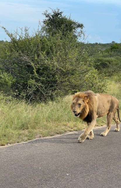 4 Day Kruger Park and Panorama Route Tour - Accommodation and Meals