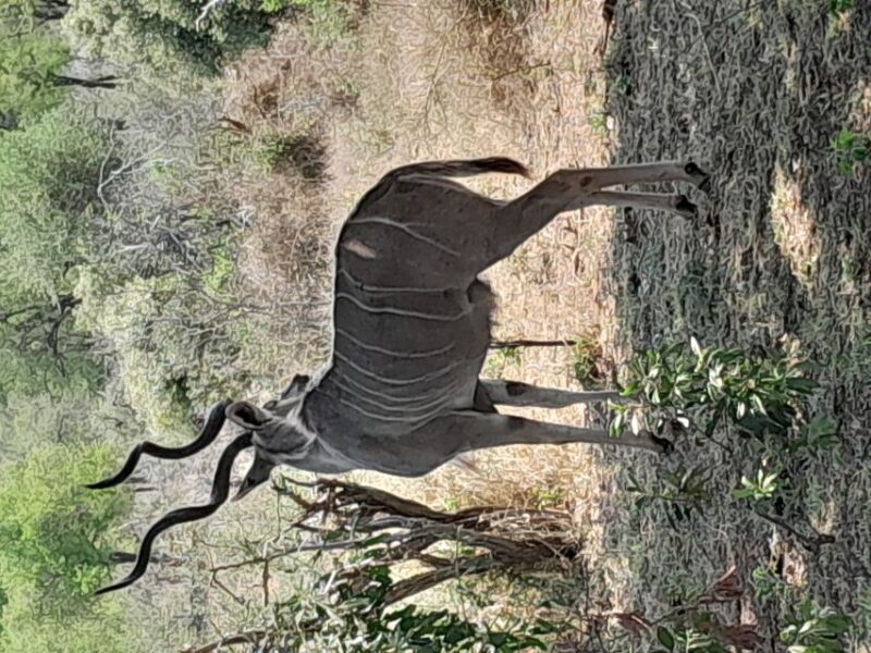 4 Day Kruger Park Safari and Panorama Route - Itinerary Highlights